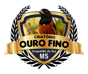 logo.png (126 KB)